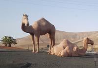 Rundreise – Inselhüpfen Lanzarote, Fuerteventura (170)