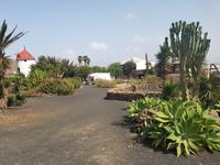 Rundreise – Inselhüpfen Lanzarote, Fuerteventura (205)