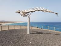 Rundreise – Inselhüpfen Lanzarote, Fuerteventura (317)