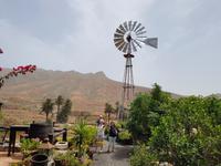 Rundreise – Inselhüpfen Lanzarote, Fuerteventura (338)