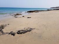 Rundreise – Inselhüpfen Lanzarote, Fuerteventura (344)