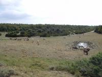 Mirador del Faro (2)