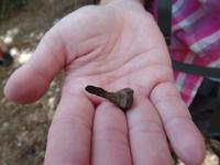 Singlereise Mallorca Wandern