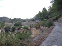 Singlereise Mallorca Wandern