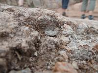 Singlereise Mallorca Wandern