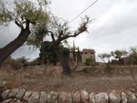 Singlereise Mallorca Wandern