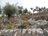 Singlereise Mallorca Wandern