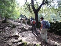 Singlereise Mallorca Wandern