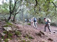Singlereise Mallorca Wandern