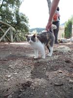 Singlereise Mallorca Wandern