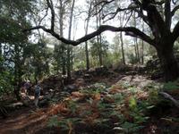 Singlereise Mallorca Wandern