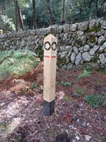 Singlereise Mallorca Wandern