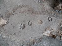 Singlereise Mallorca Wandern