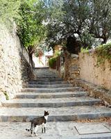 Singlereise Mallorca Wandern – Deia