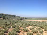 Via Verde de la Subbética (22)