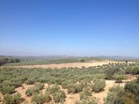 Via Verde de la Subbética (23)