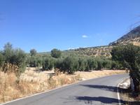 Via Verde de la Subbética (27)