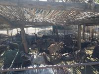 Via Verde de la Subbética (30)