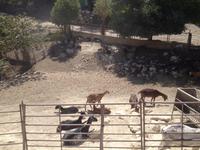 Via Verde de la Subbética (32)