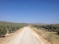 Via Verde de la Subbética (41)