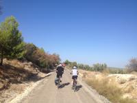 Via Verde del Aceite (6)