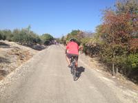 Via Verde del Aceite (8)