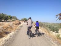 Via Verde del Aceite (9)