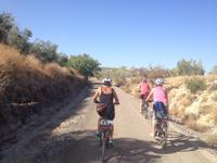 Via Verde del Aceite (10)