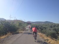 Via Verde del Aceite (12)