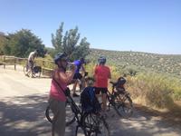 Via Verde del Aceite (19)