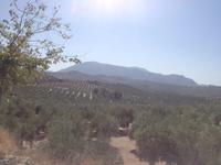 Via Verde del Aceite (33)