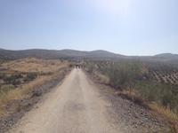 Via Verde del Aceite (35)