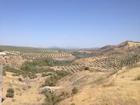 Via Verde del Aceite (36)