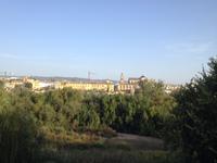 Cordoba (4)