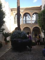 Cordoba (19)