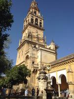 Cordoba (39)