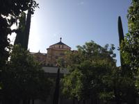 Cordoba (40)
