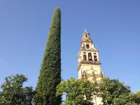 Cordoba (41)