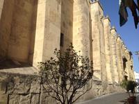 Cordoba (55)