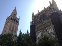 Sevilla (50)