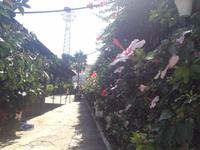 Bodegas La Gitana (1)