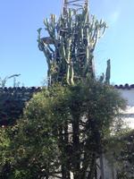 Bodegas La Gitana (3)