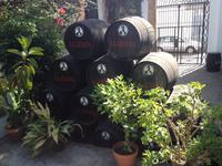 Bodegas La Gitana (4)