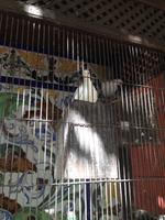 Bodegas La Gitana (7)