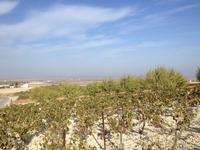 Doñana Naturpark (3)