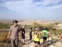 Doñana Naturpark (5)