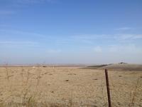 Doñana Naturpark (7)