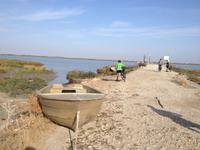 Doñana Naturpark (8)