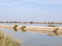 Doñana Naturpark (12)