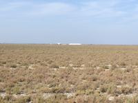 Doñana Naturpark (16)